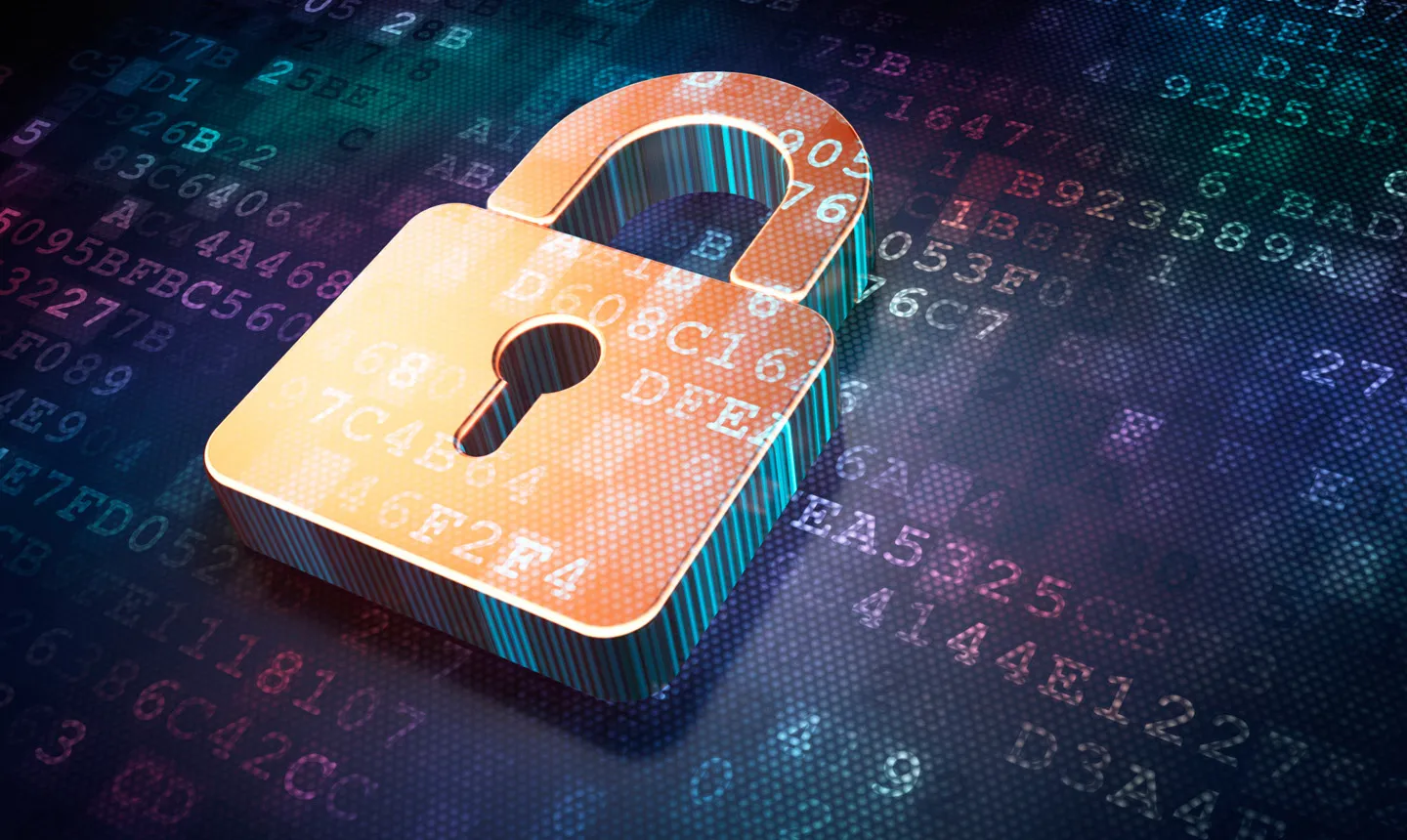 Gizlilik Politikası